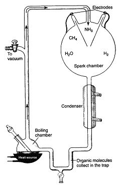 What was the purpose of the spark chamber in this experimental apparatus?