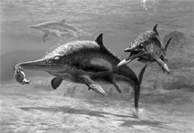 Figure 21-2   What is the animal in the accompanying figure?