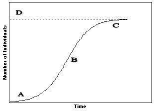 Figure 53-2 Refer to the accompanying figure. At which point on the graph is the population increasing exponentially?