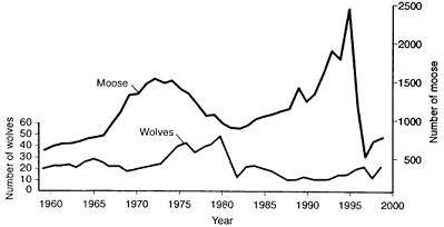Figure 53-3 According to the data in the accompanying figure, the cause of the decline of the wolf population in 1982 was: