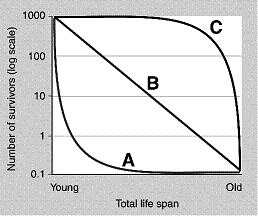 <strong>Figure 53-5 Refer to the accompanying figure. How would the survivorship curve for elephants be represented?</strong> A) The curve A B) The curve B C) The curve C D) Either A or C, depending on the species E) Elephant populations would be better represented by a curve falling between A and B.
