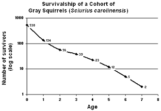 <strong>Figure 53-4 Based on the accompanying figure, which of the following age intervals has the highest death rate?</strong> A) 0 − 1 B) 1 − 2 C) 2 − 3 D) 3 − 4 E) 4 − 5