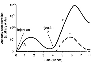 Figure 45-1 The response represented by the dashed line in the accompanying figure indicates a: