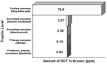 <strong>Figure 55-2 The accompanying figure is a good illustration of</strong> A) bioconcentration. B) biological magnification. C) persistence. D) narrow-spectrum botanicals. E) the pesticide treadmill.