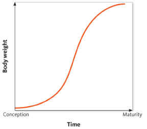 <strong>  Based on this graph, does this organism exhibit determinate or indeterminate growth?</strong> A) determinate growth B) indeterminate growth <div style=padding-top: 35px> 