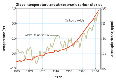 <strong> From 1980 to 2000, the global temperature</strong> A) stayed the same. B) increased less than 0.5 degrees. C) increased exactly 0.5 degrees. D) increased more than 0.5 degrees.