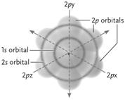 <strong> Figure 2.2 Answer the question using the accompanying figure. The electrons at the lowest energy level in the neon atom depicted are found in which orbital? </strong> A)1 s B)2 s C)2 p x D)2 p y E)2 p z