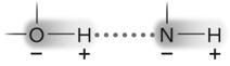 <strong> Figure 2.3 Answer the question using the accompanying figure. The molecule shown is held together by ____. </strong> A)polar covalent bonds B)van der Waals forces C)ionic bonds D)hydrogen bonds E)nonpolar covalent bonds