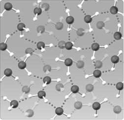 <strong> Figure 2.5 The water lattice illustrated in the figure above forms as a result of ____ between water molecules. </strong> A)covalent bonds B)hydrogen bonds C)nonpolar interactions D)ionic bonds E)van der Walls forces