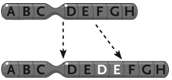 <strong> Figure 13.5 The change in the chromosome depicted between the top and the bottom in the accompanying figure represents a(n)____.</strong> A)inversion B)duplication C)reciprocal translocation D)deletion E)Philadelphia chromosome