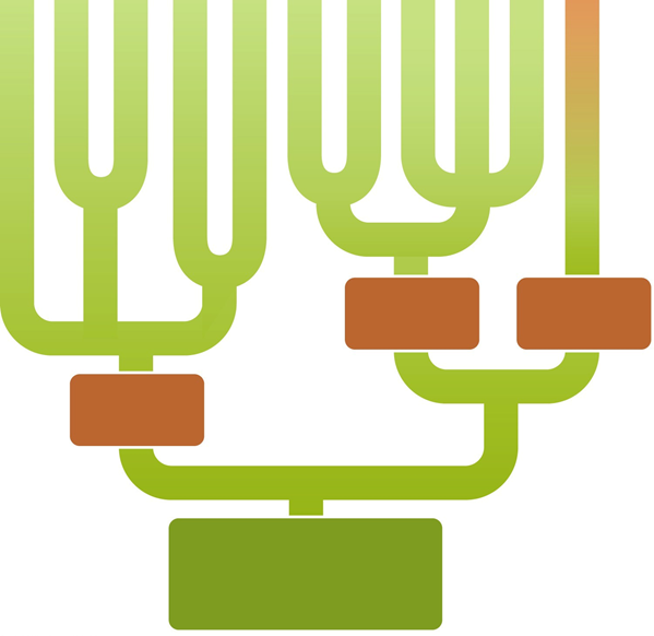 <strong> Figure 26.2 ; note that B, D, and E are domains. Answer the question using the accompanying figure. Which branch of this phylogenetic tree identifies the common ancestor of all modern organisms? </strong> A)A B)B C)C D)D E)E