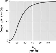 Figure 46.2 Answer the question using the accompanying figure. Llamas, which are customarily known as mountain dwellers, have hemoglobin with higher O<sub>2</sub> binding affinity than that of humans. How would the llama hemoglobin-O<sub>2</sub> dissociation curve differ from that of a human? 