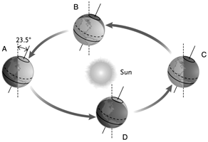 <strong> Answer the question using the accompanying figure. Which image represents the position of the Earth during the December solstice?</strong> A)A only B)B only C)C only D)D only E)A and C