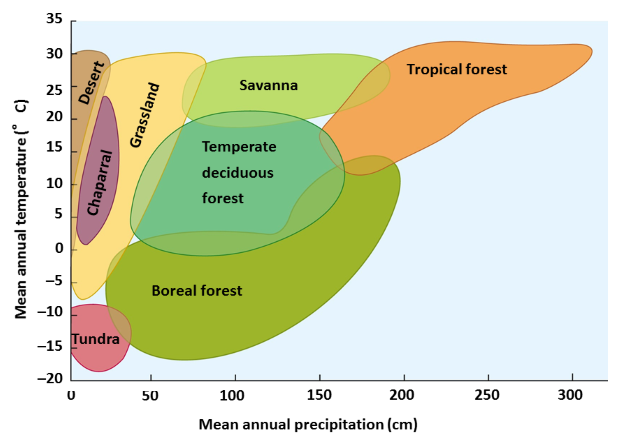 <strong> Answer the question using the accompanying figure. According to the graph, the upper mean annual temperature for boreal forests is approximately ____ <sup> o </sup> C .</strong> A)-7 B)2 C)15 D)25 E)35