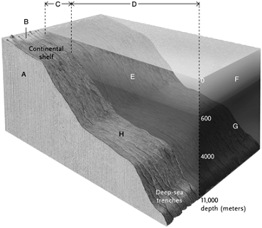 <strong> Answer the question using the accompanying figure. The benthic province includes the intertidal zone, represented by letter ____, and the abyssal zone, represented by letter ____. </strong> A)G; H B)B; H C)E; H D)B; C E)E; F