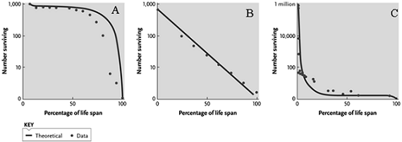 <strong> Answer the question using the accompanying figure. Humans living in environments with access to good medical care are most likely to exhibit which of the following survivorship curves?</strong> A)Type I, which is graph A B)Type II, which is graph B C)Type I, which is graph C D)Type III, which is graph C E)Type III, which is graph A
