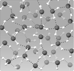 <strong> Figure 2.5 The water lattice illustrated in the figure above forms as a result of ____ between water molecules.</strong> A) covalent bonds B) hydrogen bonds C) nonpolar interactions D) ionic bonds E) van der Walls forces