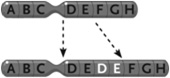 <strong> Figure 13.5 The change in the chromosome depicted between the top and the bottom in the accompanying figure represents a(n) ____.</strong> A) inversion B) duplication C) reciprocal translocation D) deletion E) Philadelphia chromosome