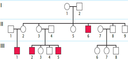 <strong> 2014 Examine the pedigree in the accompanying figure. Individuals affected by the genetic condition in question are indicated by filled squares or circles. Which inheritance pattern is most likely correct for this condition in this family?</strong> A) autosomal dominant B) X-linked recessive C) X-linked dominant D) cytoplasmic inheritance E) autosomal recessive