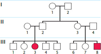 <strong> 2014 Examine the pedigree in the accompanying figure. Individuals affected by the genetic condition in question are indicated by filled squares or circles. Which inheritance pattern is most likely correct for this condition in this family?</strong> A) autosomal dominant B) X-linked recessive C) X-linked dominant D) cytoplasmic inheritance E) autosomal recessive