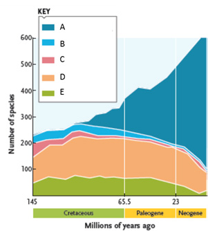 Answer the questions using the accompanying figure depicting the history of vascular plant diversity. Match each color and corresponding letter in the key to the group of vascular plants it represents. Figure 23.15