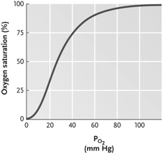 Figure 46.2 (question 99) Answer the question using the accompanying figure. Llamas, which are customarily known as mountain dwellers, have hemoglobin with higher O<sub>2</sub>binding affinity than that of humans. How would the llama hemoglobin-O<sub>2</sub>dissociation curve differ from that of a human?