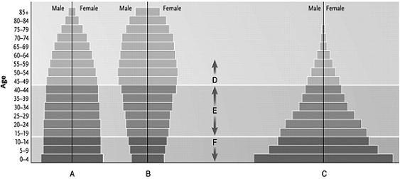 - Answer the question using the accompanying figure. Rapid population growth is represented by the letter ____.