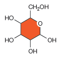 <strong> How many carbons are present in this figure?</strong> A) zero B) four C) five D) six E) seven