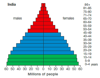 <strong> From this age structure diagram for India, it is likely that India's population will ____.</strong> A) crash B) have a larger proportion of older individuals C) remain stable D) decrease E) increase