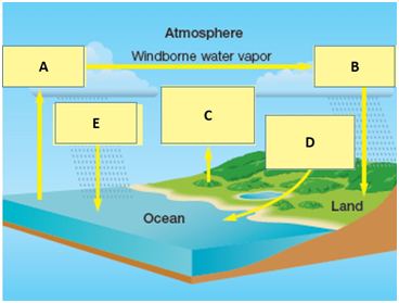 Examine the following figure of the water cycle. Match each term with the concept to which it best corresponds.