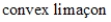 <strong>Identify the type of polar graph. </strong> A) B) C) D) E)