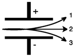 <strong>Consider the figure below. Which form of emitted radiation would follow the path shown by the arrow labeled 1? </strong> A)α B)β<sup>−</sup> C)γ D)β<sup>+</sup>