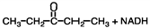<strong>What would be the products of the following reaction? </strong> A) B) C) D)