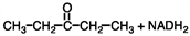 <strong>What would be the products of the following reaction? </strong> A) B) C) D)