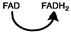 <strong>For the reaction, Which designation should be placed over the arrow?</strong> A) B) C) D)
