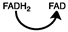 <strong>For the reaction, Which designation should be placed over the arrow?</strong> A) B) C) D)