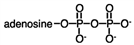 <strong>The abbreviation for the compound shown? </strong> A)ATP B)ADP C)AMP D)P<sub>i</sub>P<sub>i</sub>