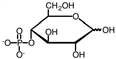 <strong>Glucose-6-phosphate is best represented by which of the following? (Note: the wavy bond indicates that the -OH could either be up or down.)</strong> A) B) C) D)