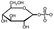 <strong>Glucose-6-phosphate is best represented by which of the following? (Note: the wavy bond indicates that the -OH could either be up or down.)</strong> A) B) C) D)