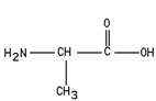 <strong>Which of these structures is an amino acid?</strong> A) B) C) D) E)