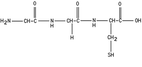 <strong>Classify this structure. </strong> A)dipeptide B)fatty acid C)polypeptide D)protein E)triglyceride