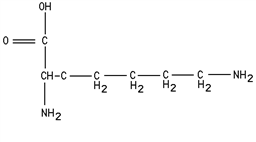 <strong>Classify this structure. </strong> A)dipeptide B)amino acid C)polypeptide D)protein E)triglyceride