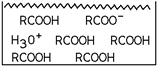 <strong>Which of these substances is represented in the diagram? </strong> A) A weak acid B) A weak base C) A strong acid D) A strong base E) A salt