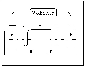 <strong>Exhibit 18-1 Consider the figure of a generic voltaic cell below to answer the following question(s). Refer to Exhibit 18-1. If electrons are flowing in the direction from half-cell D to half-cell B, which component in this voltaic cell represents the electrode where oxidation occurs ?</strong> A) A B) B C) C D) D E) E
