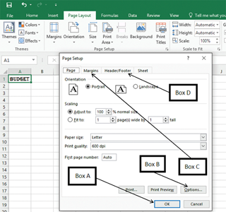 <strong>In the accompanying image of a Microsoft Excel 2016 Page Setup dialog box, clicking the button indicated by _____ will open another dialog box. </strong> A)Box A B)Box B C)Box C D)Box D