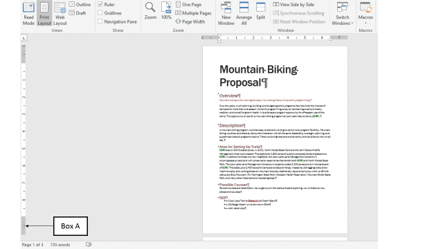 <strong>In the accompanying figure of a Microsoft Word 2016 document, Box A points to the _____ of the document. </strong> A) page outline B) page footer C) bottom margin D) bottom tab stop