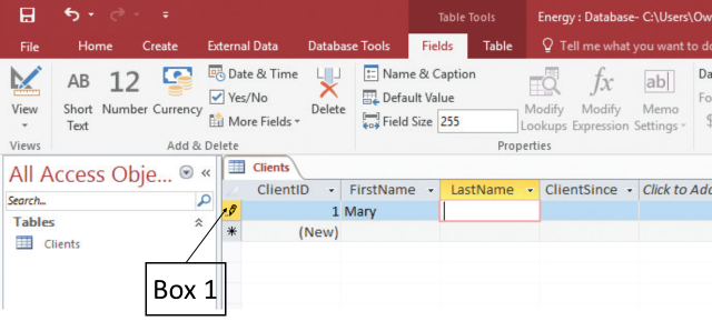 <strong>In the accompanying figure of a Microsoft Access 2016 document, the symbol that Box 1 is pointing to appears when you: </strong> A)select the primary key value. B)delete a record. C)start typing a value in a field. D)modify the foreign key value.