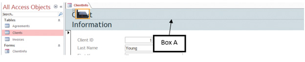  In the accompanying figure of Microsoft Access 2016, Box A points to the _____.