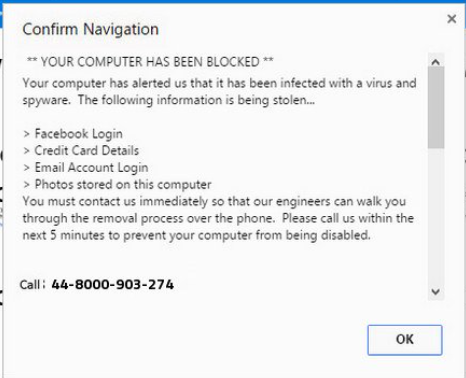 <strong>Danny received this email message today.     What happened to Danny's computer?</strong> A) The data is being downloaded, and Danny should disconnect from the network. B) Danny has received a fake security alert pop-up. C) This is a real alert, and Danny should call the number provided. D) Danny's web browser has been hijacked by a virus. <div style=padding-top: 35px> 