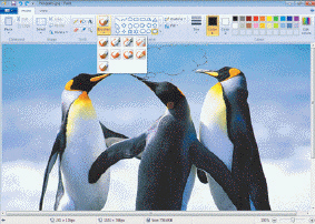 Although photos can be edited using paint software like the kind shown in the accompanying figure, photo editing software typically provides tools that simplify common editing photo editing tasks.